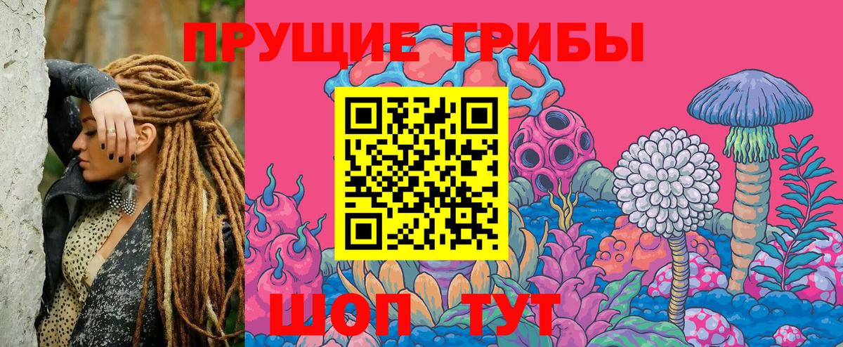 Псилоцибиновые грибы Magic Shrooms Нерюнгри