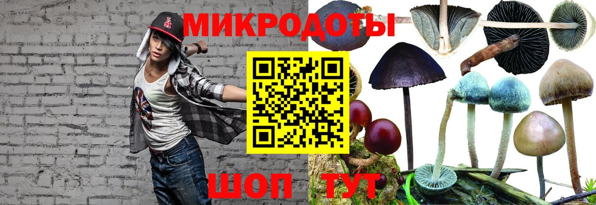 Нерюнгри  Псилоцибиновые грибы Psilocybine cubensis  Псилоцибиновые грибы Magic Shrooms  закладка  Вход с VPN 